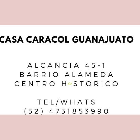 אפרטהוטל Casa Caracol גואנאחואטו מראה חיצוני תמונה
