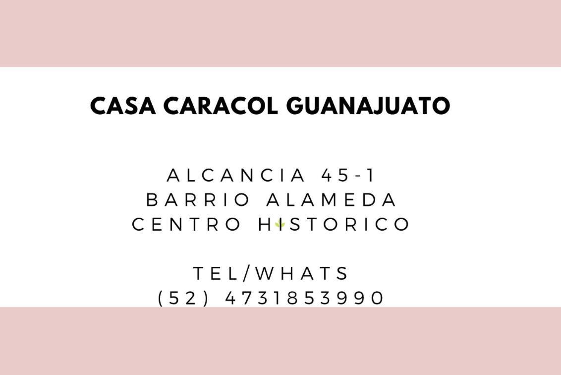 אפרטהוטל Casa Caracol גואנאחואטו מראה חיצוני תמונה