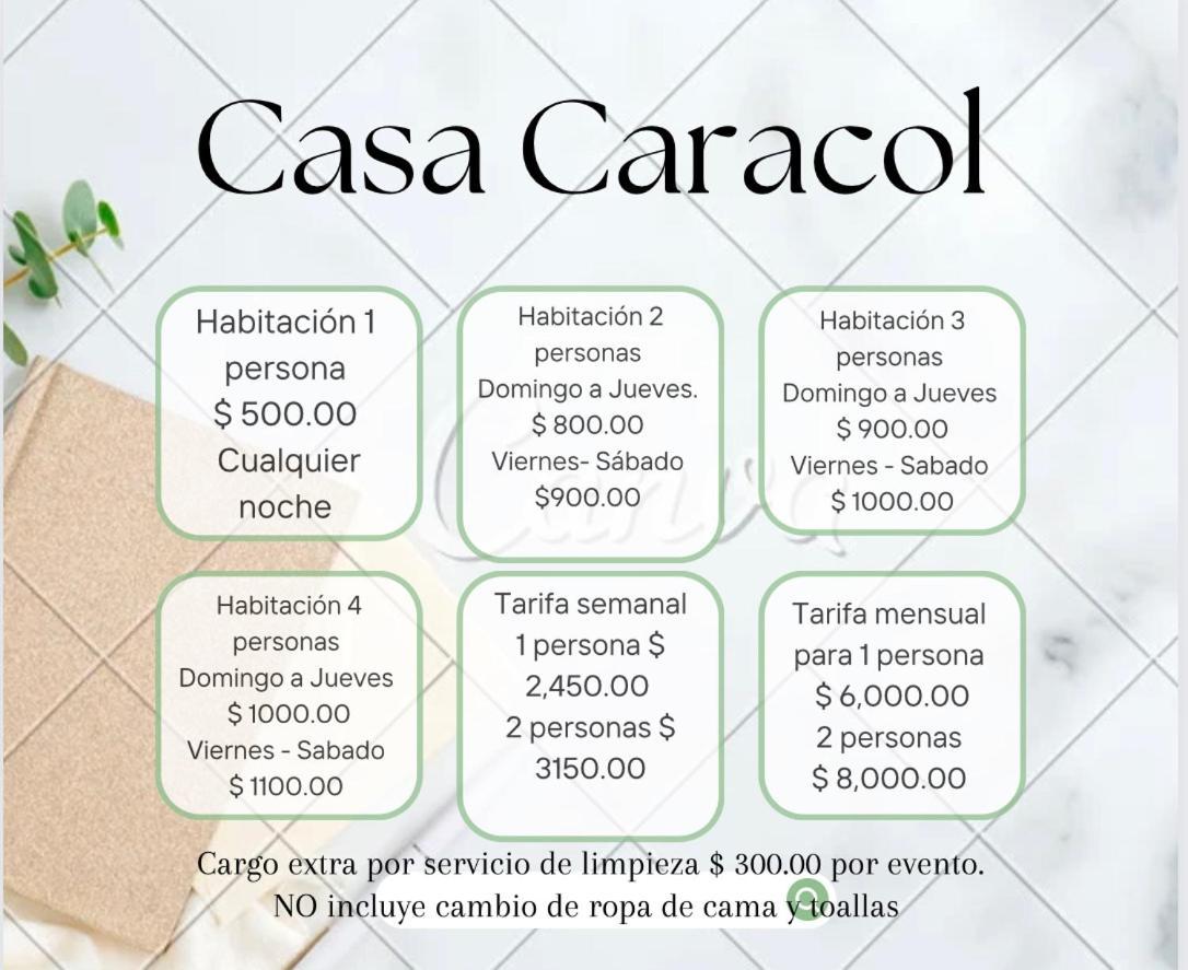 אפרטהוטל Casa Caracol גואנאחואטו מראה חיצוני תמונה